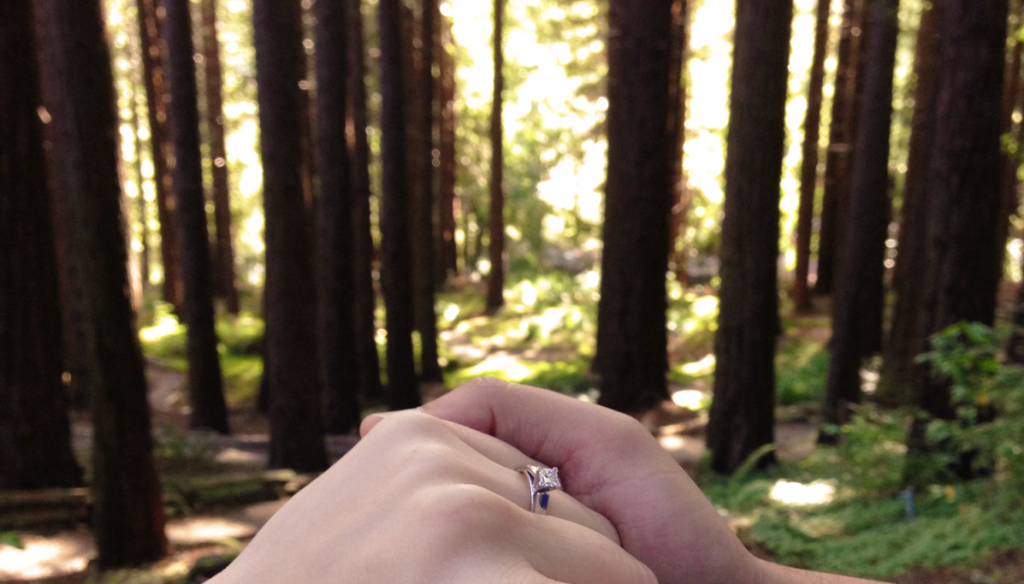 redwoodGrove